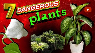 7 most dangerous plants in your home | most dangerous plants