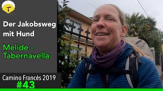 Der Jakobsweg von Melide nach Tabernavella - Doku 2019 (4K) [Es kracht gewaltig] |#Camino Francés