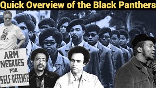 Quick Overview of the Black Panthers