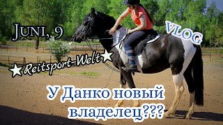 Juni, 9 | VLOG | У ДАНКО ДРУГОЙ ВЛАДЕЛЕЦ? | REITSPORT–WELT