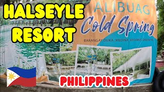 Halseyle Resort & Alibaug Cold Spring - Mindanao Island: Philippines