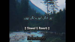 Har Hal Hai tere naal || Saraiki || Slowed & Reverb || #sariki_song #slowedandreverb #itxAwaiseditz