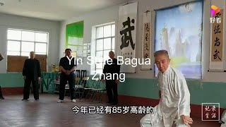 Yin Style Bagua 尹氏八卦 - Chuan Zhang by Master Liu Yongchun 85 years old