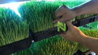 ساخت دستگاه‌ علوفه هیدروپونیک  Hydroponic Fodder