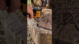 DeWalt DCF845 XR impact driver driving a 9 inch log screw #dewalttough