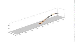 Dynamics of a fiber in turbulent channel flow (Re=350)