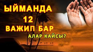 Расул Акрам: Ыймандын важиптери кайсылар? билип алыңыз