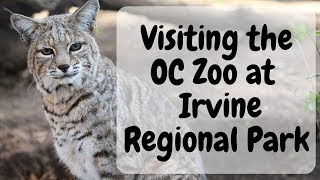 TOURIST SIGHTS: Visiting the OC Zoo in the Irvine Regional Park in Irvine, Orange County, California