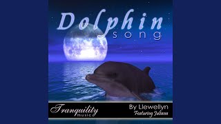 Dolphin Song