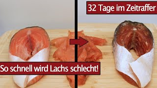 Lachs über 32 Tage im Zeitraffer - Time Lapse zur Haltbarkeit