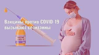 Могут вакцины против COVID 19 вызивать спонтанные аборты?