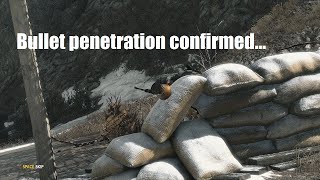 Bullet penetration confirmed...