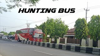 hunting bus mudik di Pantura gunung jati