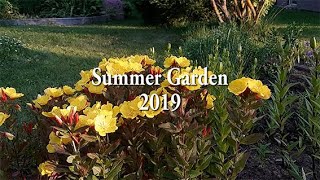 Summer garden 2019