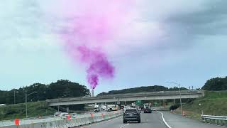 Purple-pink plume at ecomaine (video by Alexander Hitchen)