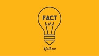 Yellow Fact - Netflix