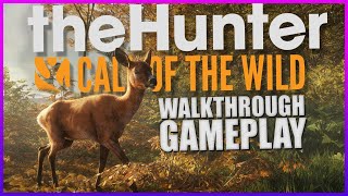 THE HUNTER: CALL OF THE WILD walkthrough Gameplay (Real Hunting Simulator)