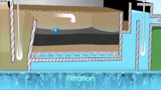 Water Filtration.mp4