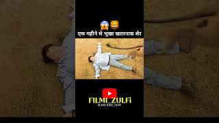 एक महीने से भूखा खतरनाक शेर 🦁😱 |#shorts #movieexplainedinhindi