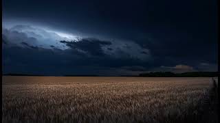 Relaxing Evening Thunderstorm Approaching in Wheat Field | Storm at Night Background Ambience