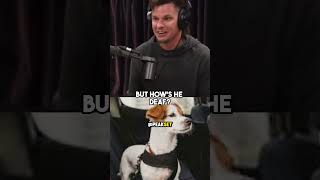 LOL THEO VON HAS NO CHILL 🤣