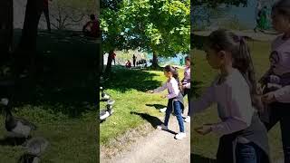 At Suomenlinna Island Helsinki Finland | #suomenlinna #island #trending #videos #finland #europe