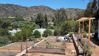 Installing Drip Tape in the New Vegetable Garden