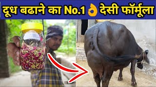 गाय/भैंस का दूध बढ़ाने का No.1देसी फॉर्मूला|Doodh bdhane ka tarika|How to increase cow/buffalo milk