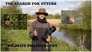 Searching for otters