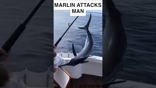 MARLIN ATTACKS MAN #shorts