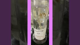 #Brassicaceae #Specimen #B.Sc. #Practical #Science(Bio).