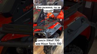 Какой из двух рыжиков выбираешь? Tactic 750 или XWolf 700 #hisun #loncin #квадроцикл #atv #gopro