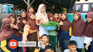 SISWA MIN 3 BIREUEN PANEN KANGKUNG PROJECT P5- TEMA KEWIRAUSAHAAN