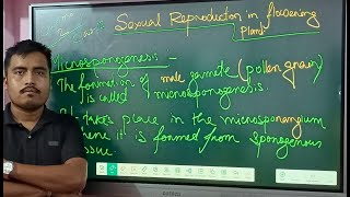 Sexual Reproduction in Flowering Plant Class 12 I