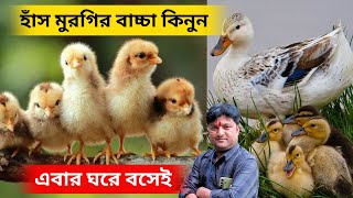 হাঁস মুরগির বাচ্চা কিনুন এবার ঘরে বসেই।😱