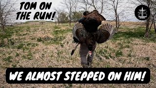 I took my brother on his first Turkey hunt | Unique Success! | Iowa Turkey Hunt