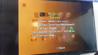 Drive to Survive PS2 Save Icon is Deleted