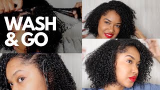 TYPE 4 HAIR UPDATED WASH N GO