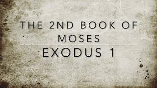 Finding Hope in Exodus 1:  A Story of Faith, Resilience, and Divine Deliverance