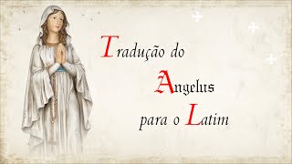 TRADUÇÃO ANGELUS PARA O LATIM | Rezar em Latim