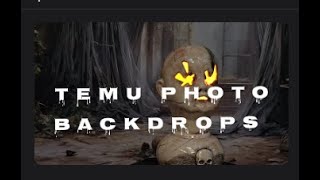 I tested the BEST and WORST Photo Backdrops from  #TEMU #Pottery