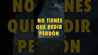 NO TIENES QUE PEDIR PERDON POR...