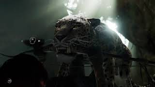 Shadow of Tomb Raider- Fighting Jaguars scene