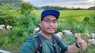 Exploring the rice fields on foot | Thailand vlogs | Cha Am