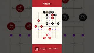 Chinese Chess Checkmate Puzzle - Day 3