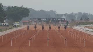 14h40   GP PRES  DO JOCKEY CLUB DE SOROCABA   4 PÁREO