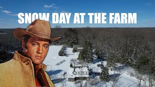 Elvis Presley "Wonderful World" - Snow Day at the Farm - Music Video