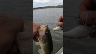 Increíble el día de pesca