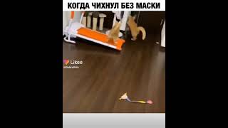 КОГДА ЧИХНУЛ БЕЗ МАСКИ