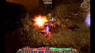 Grim Dawn - Dual Wield Omen Witch Hunter Dermapteran Hive Run